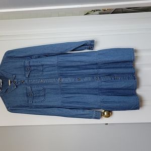 American Eagle denim dress Size L